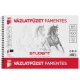 Vázlatfüzet B5 160g. famentes Student