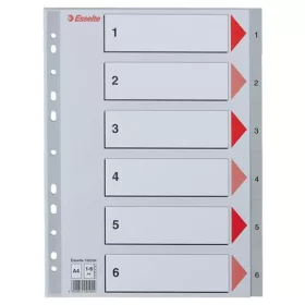 Regiszter, műanyag, A4, 1-6, ESSELTE, szürke