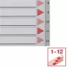 Regiszter, műanyag, A4, 1-12, ESSELTE, szürke