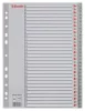 Regiszter, műanyag, A4, 1-31, ESSELTE, szürke