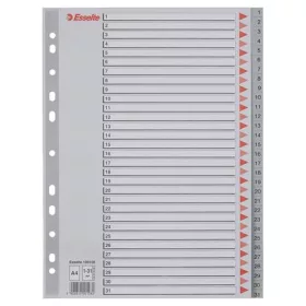 Regiszter, műanyag, A4, 1-31, ESSELTE, szürke