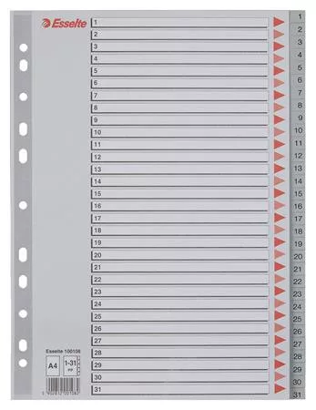 Regiszter, műanyag, A4, 1-31, ESSELTE, szürke