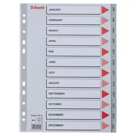 Regiszter, műanyag, A4, Jan-Dec, ESSELTE, szürke