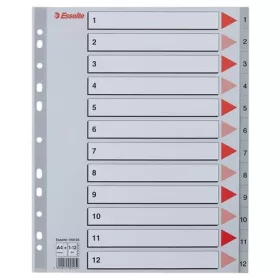 Regiszter, műanyag, A4 Maxi, 1-12, ESSELTE, szürke