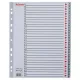 Regiszter, műanyag, A4 Maxi, 1-31, ESSELTE, szürke