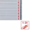Regiszter, műanyag, A4 Maxi, 1-31, ESSELTE, szürke