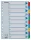 Regiszter, karton, A4, 1-10, ESSELTE "Mylar"