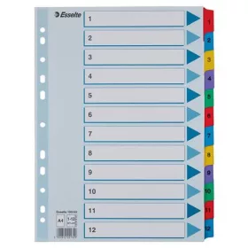 Regiszter, karton, A4, 1-12, ESSELTE "Mylar"