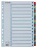 Regiszter, karton, A4, 1-31, ESSELTE "Mylar"