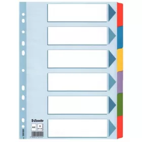   Regiszter, laminált karton, A4, 6 részes, ESSELTE "Mylar"