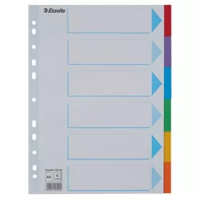 Regiszter, karton, A4, 6 részes, írható előlappal, ESSELTE "Standard", színes