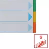 Regiszter, karton, A4, 6 részes, írható előlappal, ESSELTE "Standard", színes