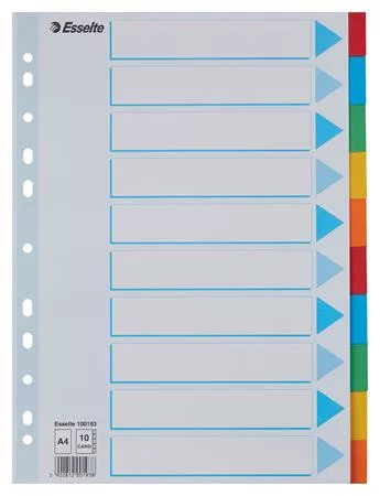 Regiszter, karton, A4, 10 részes, írható előlappal, ESSELTE "Standard", színes