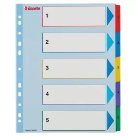   Regiszter, laminált karton, A4 maxi, 1-5, újraírható, ESSELTE