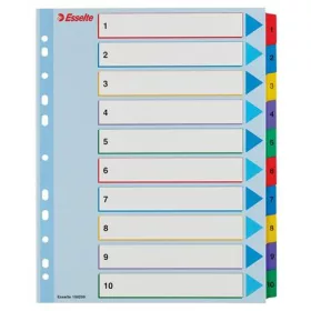 Regiszter, laminált karton, A4 Maxi, 1-10, újraírható, ESSELTE