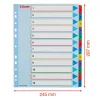 Regiszter, laminált karton, A4 Maxi, 1-12, újraírható, ESSELTE