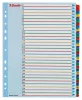 Regiszter, laminált karton, A4 Maxi, 1-31, újraírható, ESSELTE
