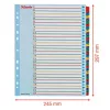 Regiszter, laminált karton, A4 Maxi, 1-31, újraírható, ESSELTE