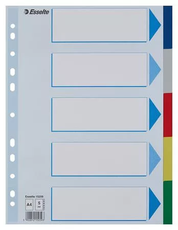 Regiszter, műanyag, A4, 5 részes, ESSELTE