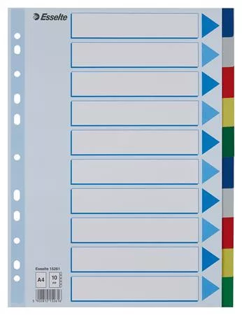 Regiszter, műanyag, A4, 10 részes, ESSELTE