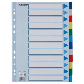 Regiszter, műanyag, A4, 12 részes, ESSELTE
