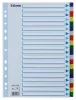 Regiszter, műanyag, A4, 20 részes, ESSELTE