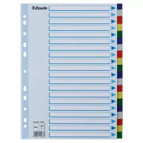 Regiszter, műanyag, A4, 20 részes, ESSELTE
