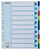 Regiszter, műanyag, A4 Maxi, 10 részes, ESSELTE
