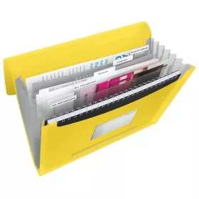   Harmonikamappa, A4, PP, 6 rekeszes, ESSELTE "Vivida", sárga