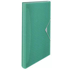   Harmonikamappa, A4, PP, 6 rekeszes, ESSELTE "Colour'Breeze", zöld