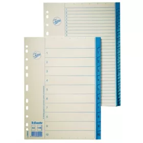 Regiszter, karton, A4, 1-31, ESSELTE, fehér