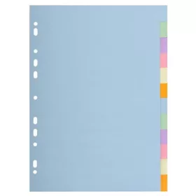   Regiszter, karton, A4, 12 részes, EXACOMPTA, pasztell színek