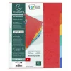 Regiszter, karton, A4+, 6 részes, EXACOMPTA, színes