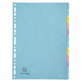   Regiszter, karton, A4, 12 részes, EXACOMPTA "Aquarel"