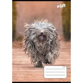   Füzet, tűzött, A5, kockás, 32 lap, COOL BY VICTORIA, "Dogs", 27-32