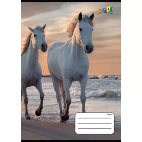   Füzet, tűzött, A5, vonalas, 32 lap, 3. osztály, COOL BY VICTORIA, "Horses", "12-32"
