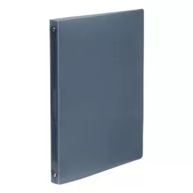   Gyűrűs könyv, 4 gyűrű, 25 mm, A4, PP, VIQUEL "Propyglass", füstszínű