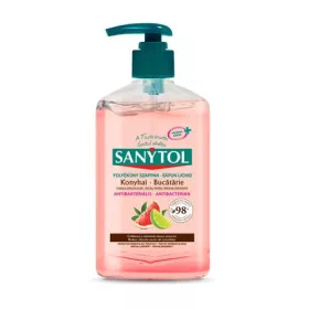   Antibakteriális folyékony szappan, 250 ml, SANYTOL "Konyhai"