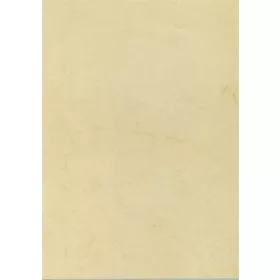 Előnyomott papír, A4, 200 g, APLI, havanna