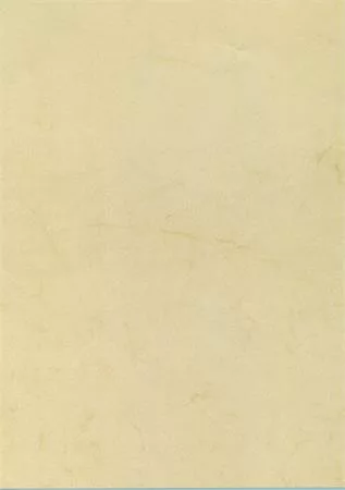 Előnyomott papír, A4, 200 g, APLI, havanna