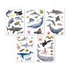 Matrica, újra felhasználható, 50 db, APLI Kids "Stickers", tengeri állatok