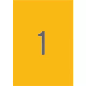   Etikett, 210x297 mm, színes, APLI, neon narancs, 20 etikett/csomag