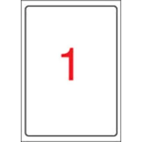   Etikett, tintasugaras nyomtatóhoz, 199,6 x 289,1 mm, fényes, fotóminőségű, APLI, 10 etikett/csomag