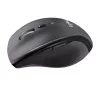 Egér, vezeték nélküli, lézeres, normál méret, USB, LOGITECH "M705 Marathon", fekete