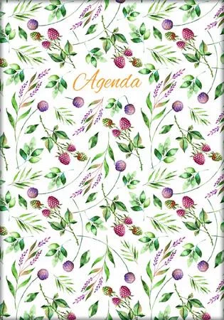 Naptár, tervező, A5, napi, DAYLINER, "Colors", Berries