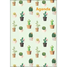 Naptár, tervező, A5, heti, DAYLINER, "Colors", Cactus