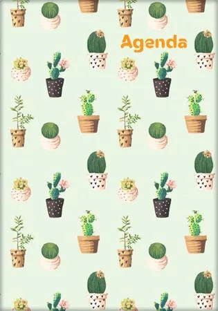Naptár, tervező, A5, heti, DAYLINER, "Colors", Cactus