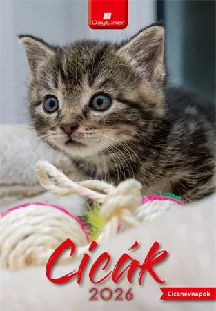 Naptár, fali, DAYLINER, "Cicák"