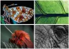 Naptár, fali, DAYLINER, "Macro Lens"