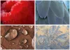 Naptár, fali, DAYLINER, "Macro Lens"